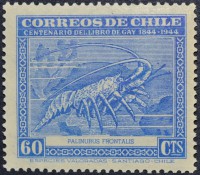 /album/galeria-de-fotos-chile/a0377-1944-jpg/